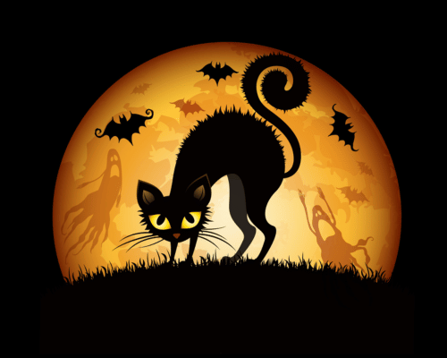 Spooky Bats And Scaredy Cats A Halloween Tale 