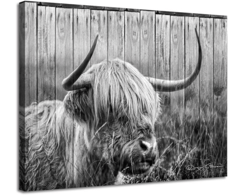 Woxfcart Highland Cow Rustic Wall Decoration
