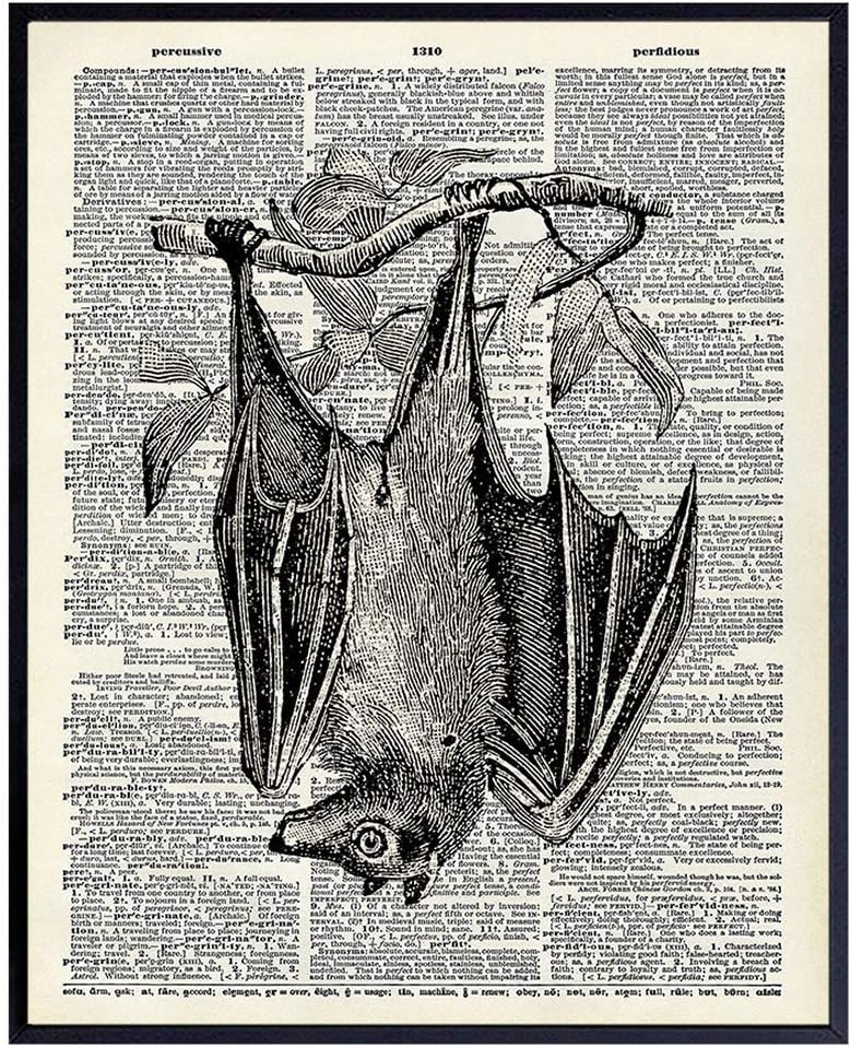 Gothic Bat Dictionary Retro Photo Print Wall Decor