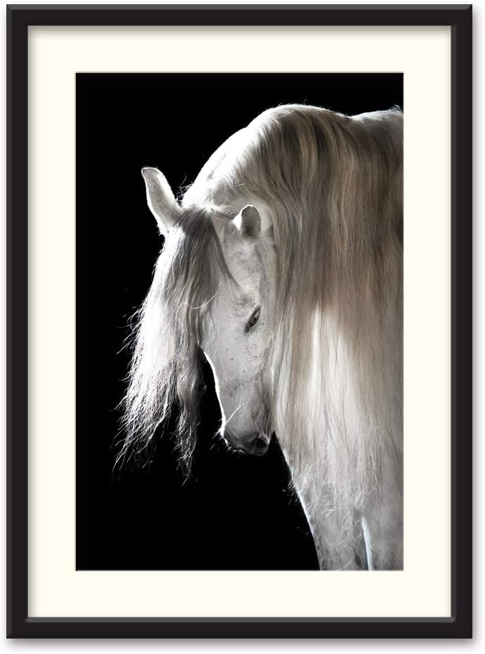 NWT Horse Canvas Wall Art