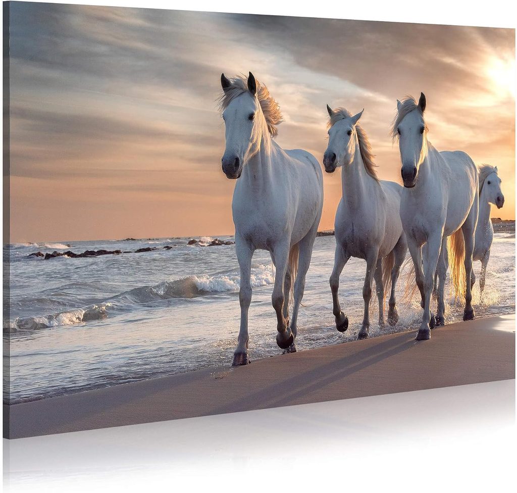 WALLSUP DECOR Canvas Wall Art Wild Horse Painting