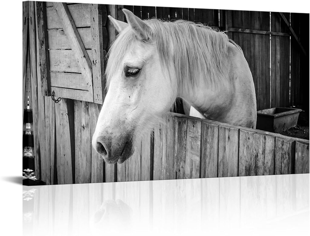 Visual Art Decor Black and White Horse Canvas Wall Art