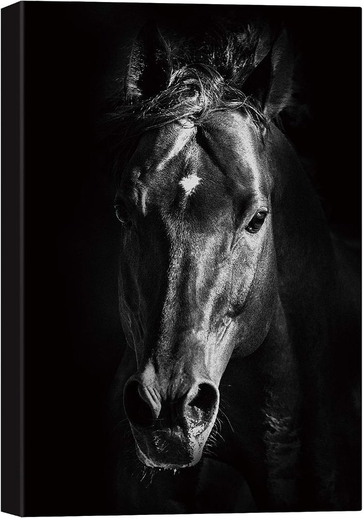 SIGNWIN Canvas Wall Art Horse Portrait Painting