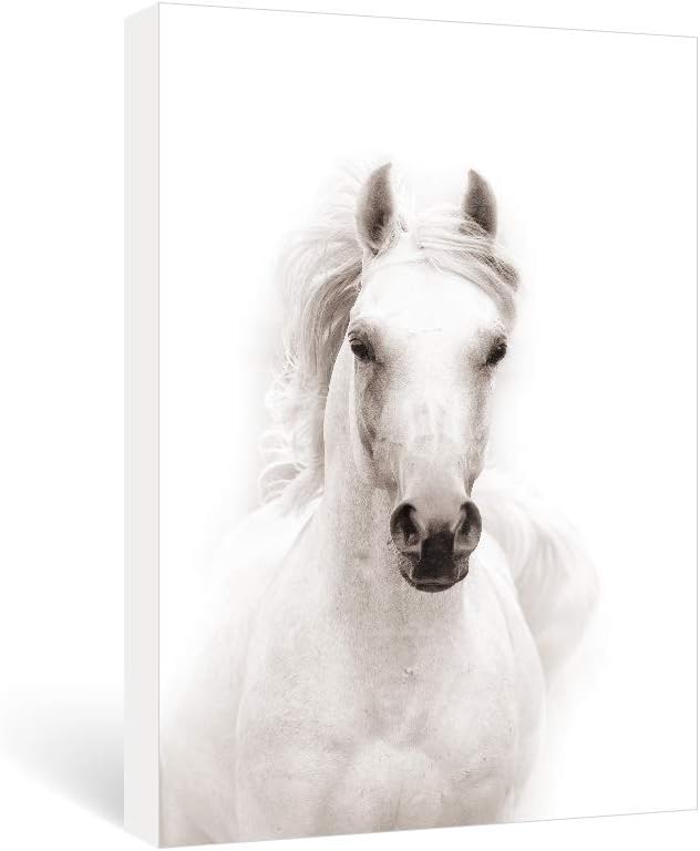 SUMGAR Horse Canvas Wall Art for Bedroom