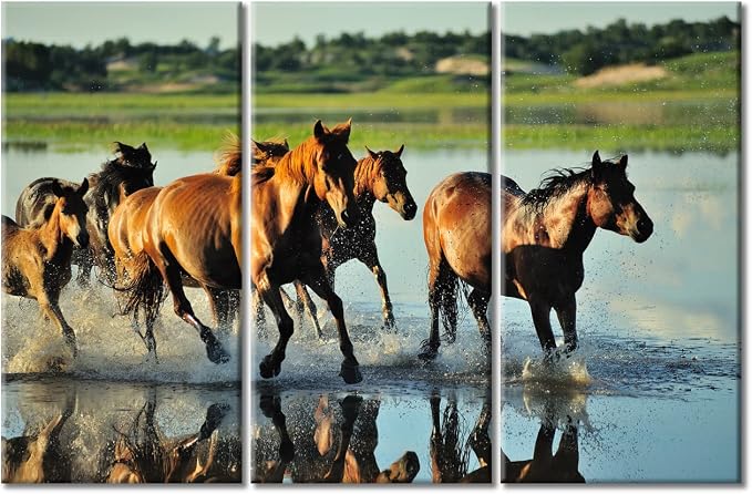 TUMOVO Large Horse Canvas Wall Art