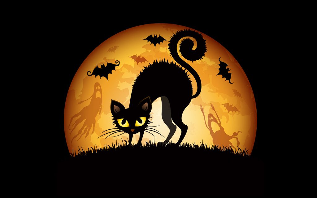 Spooky Bats And Scaredy Cats A Halloween Tale