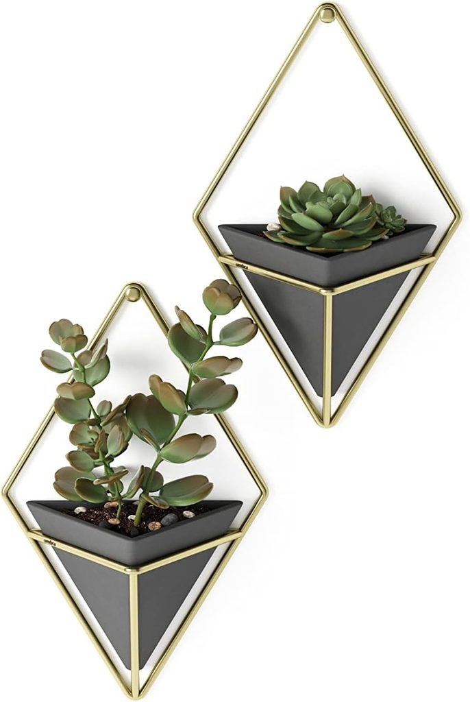 Umbra Trigg Hanging Planter Vase Wall Decor