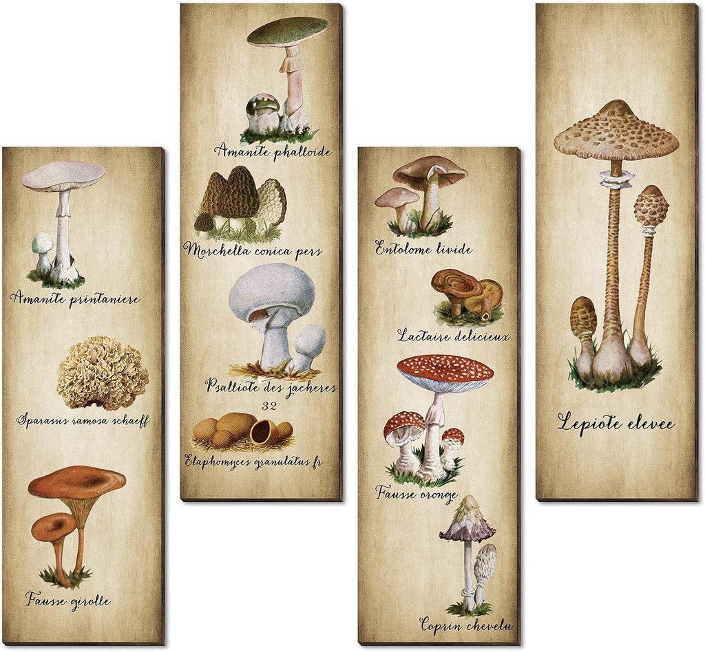 Rustic Aesthetic Wooden Mushroom Wall Decor Poster