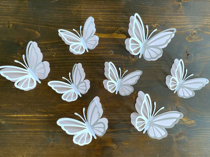 Acrylic Floating Butterfly Pieces