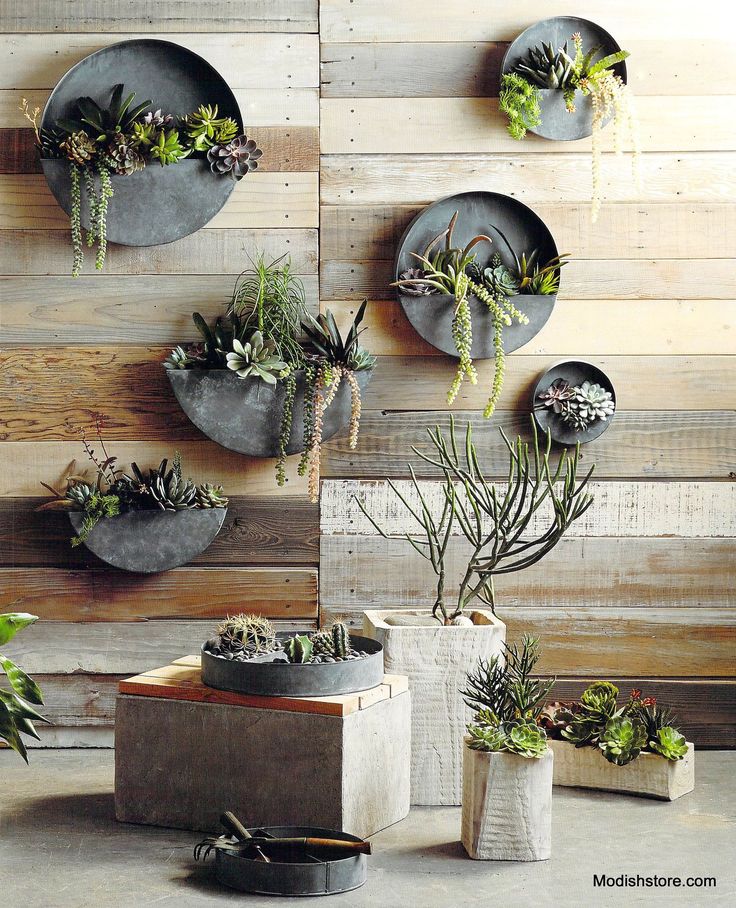 Circular Flower Vases Wall Decor