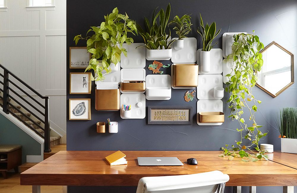 Office Wall Decoration with Live Plant