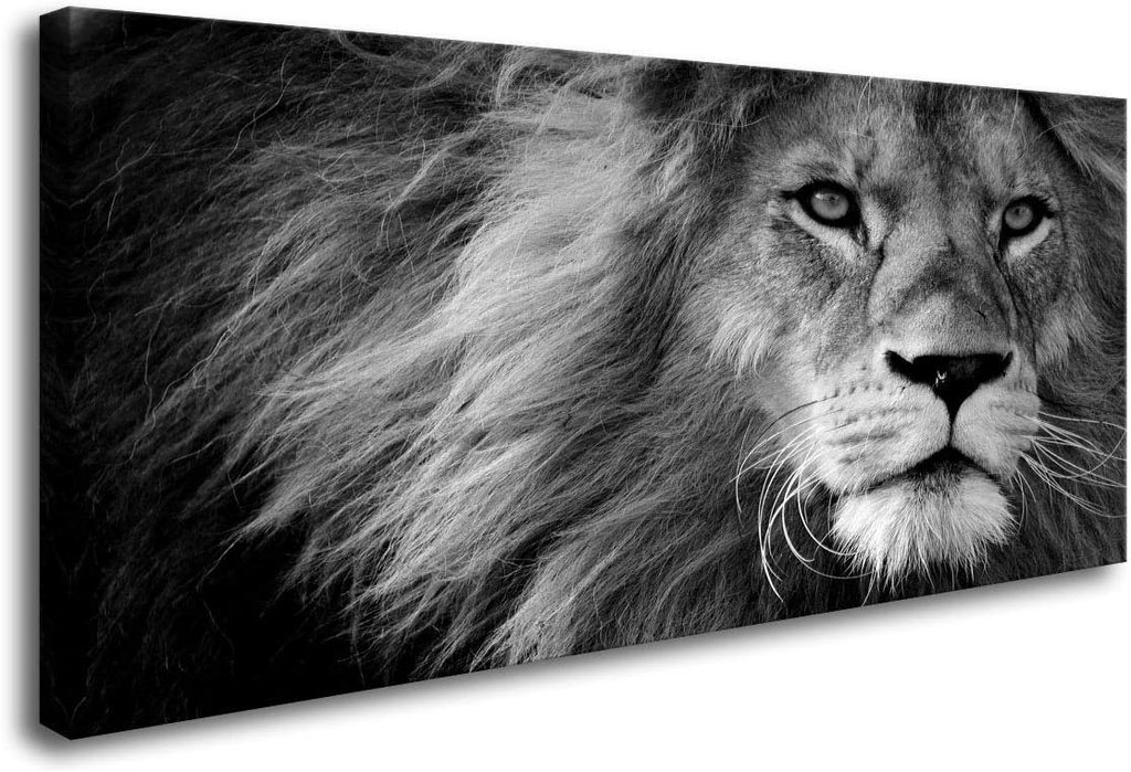 Baisuart-D0162 Canvas Prints Wall Art