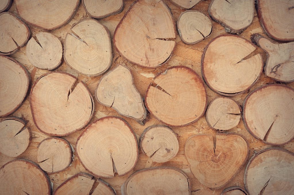 Sliced Wood Wall Art on Jute Craft