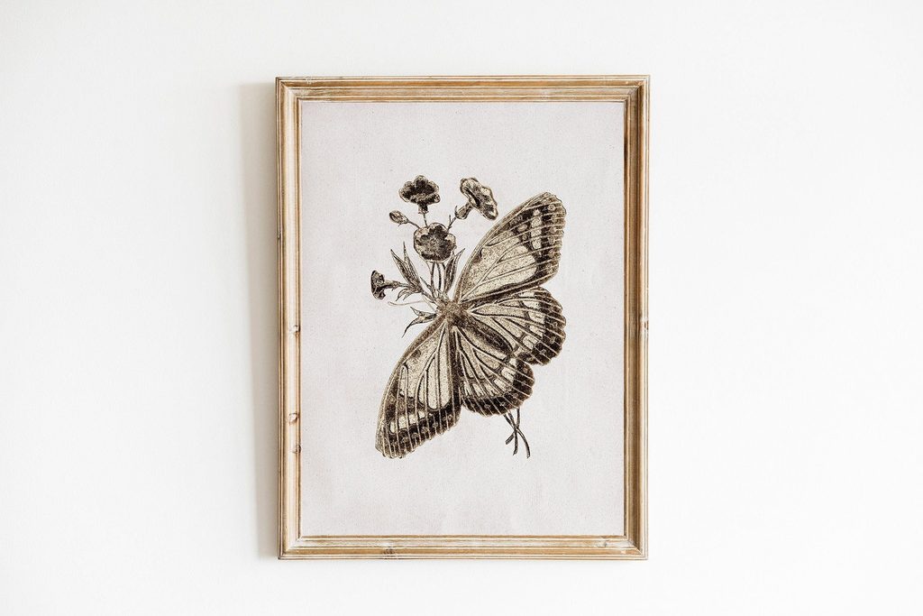 Vintage Butterfly Illustrations
